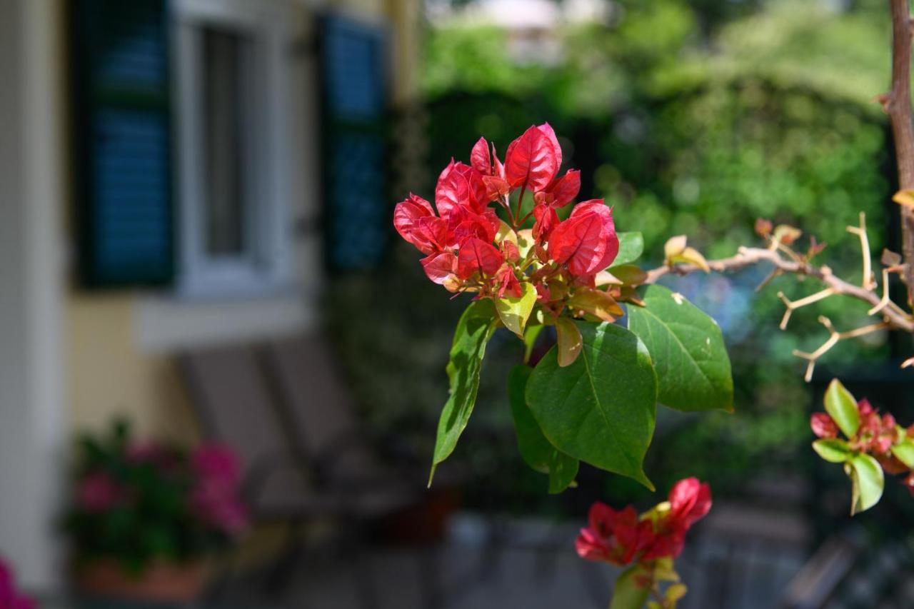 Nostalgia Corfu Town Apartments Екстер'єр фото